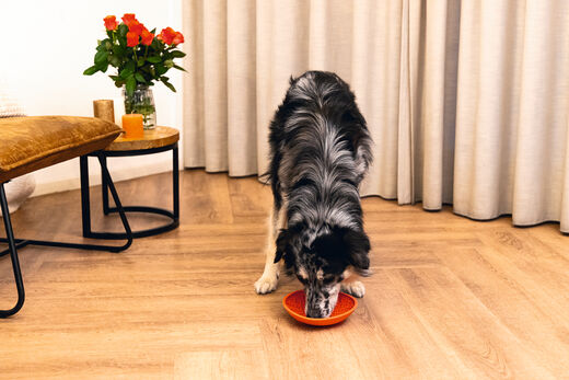 Beeztees LickMat Dish nuolumatto punainen 19cm