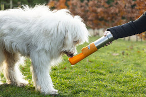 Beeztees Matkavesipullo Loe koiralle 532ml