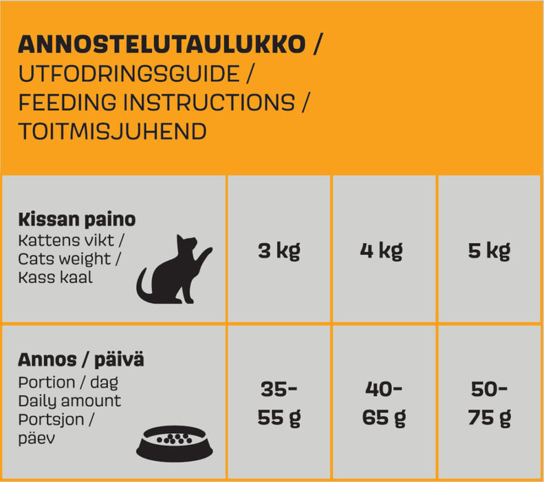 Werraton Viljaton kissanruoka 2 kg