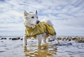 Hurtta Mudventure heijastintakki