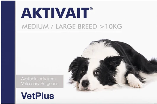 Aktivait Medium And Large Breed koiralle 60 tablettia