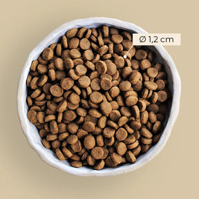 Alvar Pet Juuri koiran kuivaruoka 6 kg