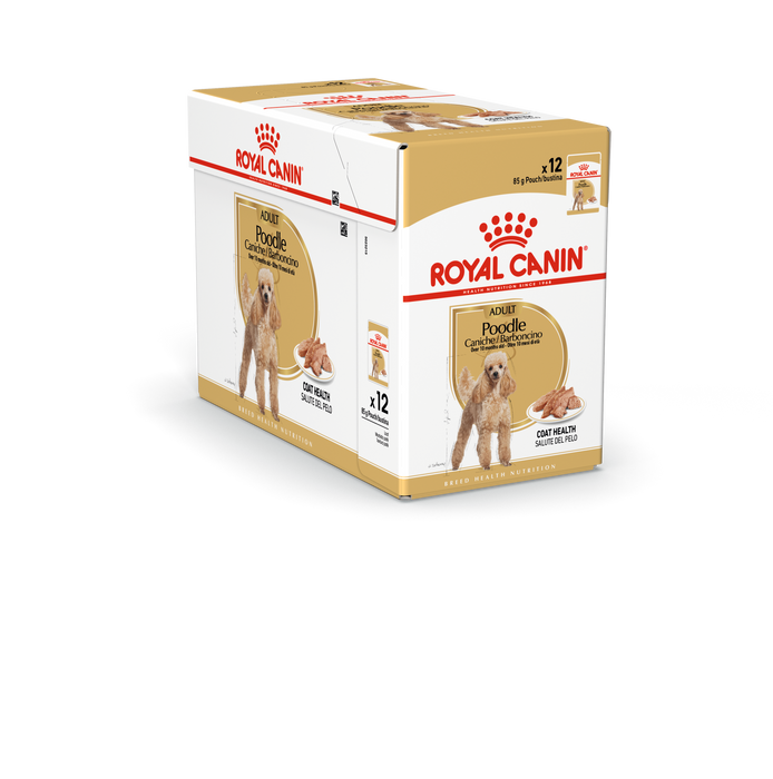 Royal Canin Poodle Adult koiralle 12 x 85 g