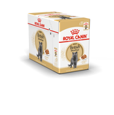Royal Canin British Shorthair Adult kissalle 12 x 85 g