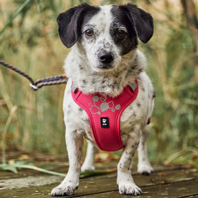 Hurtta Weekend Warrior II Eco valjas