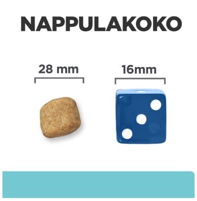 Hill's t/d Dental Care with Chicken koiralle 10 kg RIKKOONTUNUT