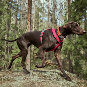 Hurtta Casual panta Eco