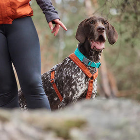 Hurtta Casual panta Eco