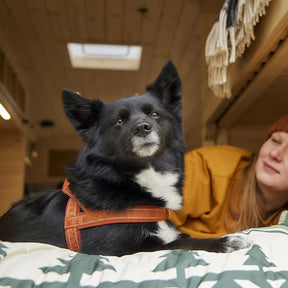 Hurtta Casual valjas Eco