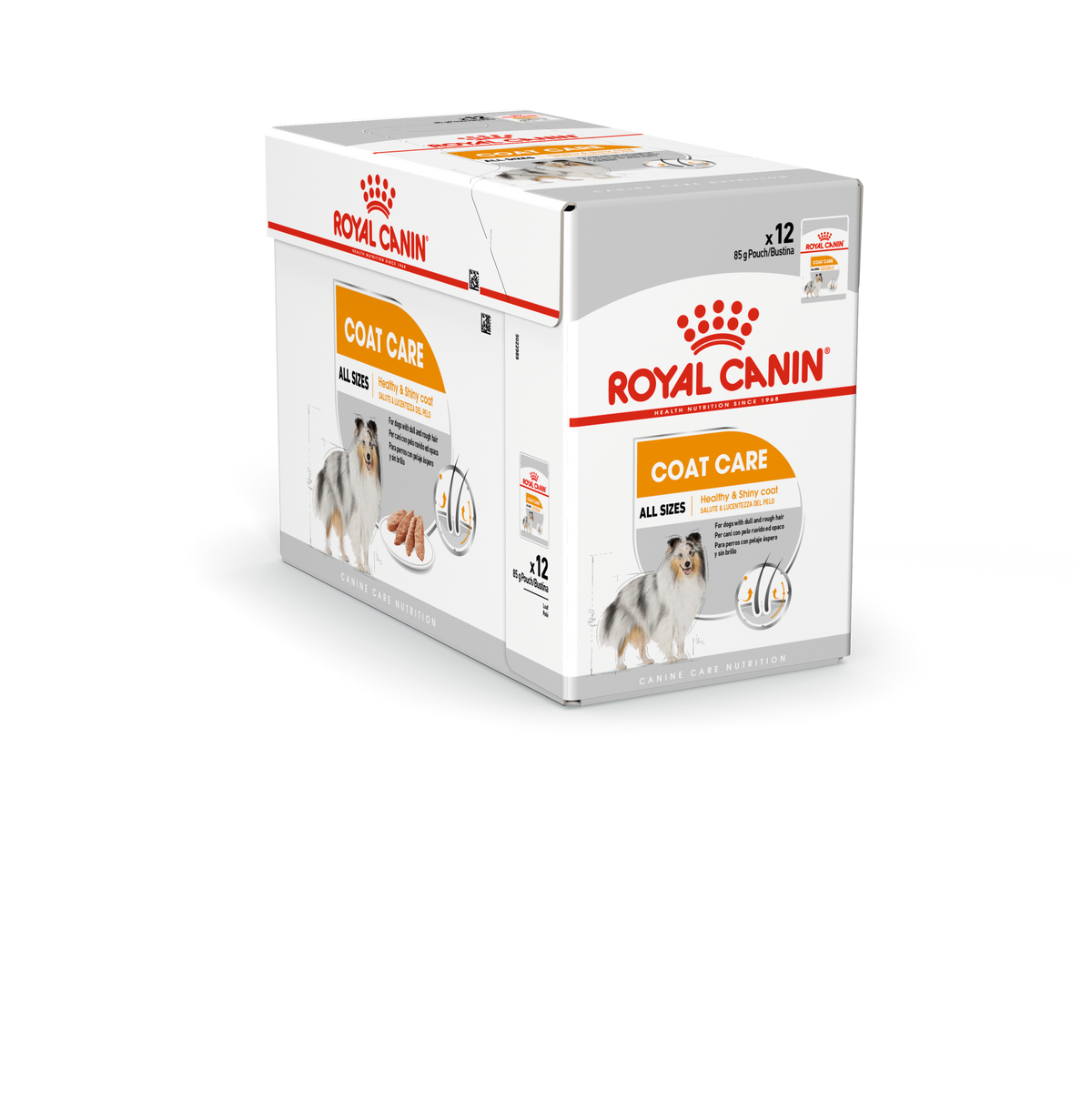 Royal Canin Coat Care koiralle 12 x 85 g