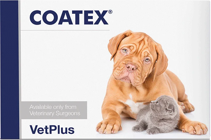 Coatex kapseli kissalle ja koiralle 60 kpl