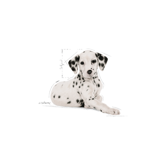 Royal Canin Dalmatian Puppy koiralle 12 kg