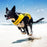 EzyDog X2 Boost pelastusliivit koiralle keltainen L