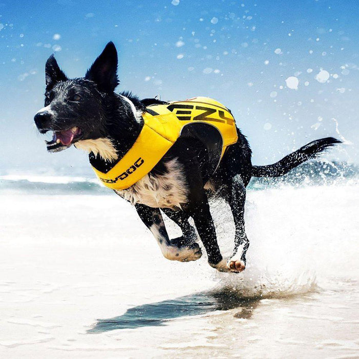 EzyDog X2 Boost pelastusliivit koiralle keltainen M
