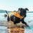 EzyDog X2 Boost pelastusliivit koiralle keltainen XL