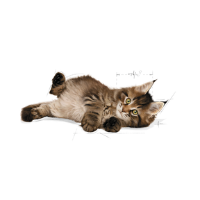 Royal Canin Maine Coon Kitten kissalle 400 g