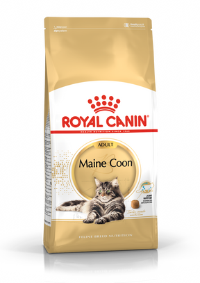 Royal Canin Maine Coon Adult kissalle 4 kg