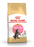 Royal Canin Maine Coon Kitten kissalle 10 kg