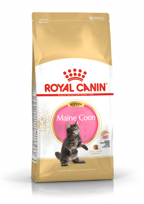 Royal Canin Maine Coon Kitten kissalle 2 kg