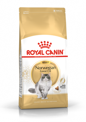Royal Canin Norwegian Forest Cat kissalle 10 kg