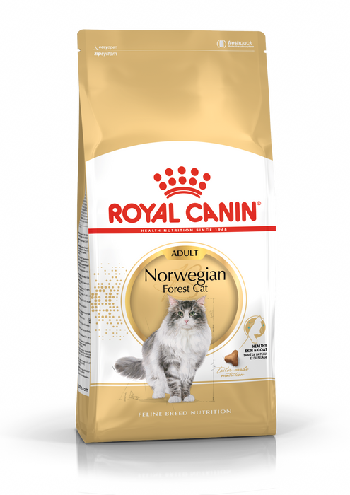 Royal Canin Norwegian Forest Cat kissalle 10 kg