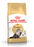 Royal Canin Persian Adult kissalle 10 kg