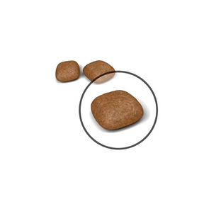 Royal Canin Urinary Care kissalle 400 g