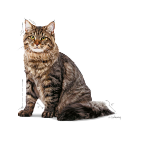 Royal Canin Urinary Care kissalle 400 g