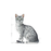 Royal Canin Indoor Sterilised Gravy kissalle 12 x 85 g