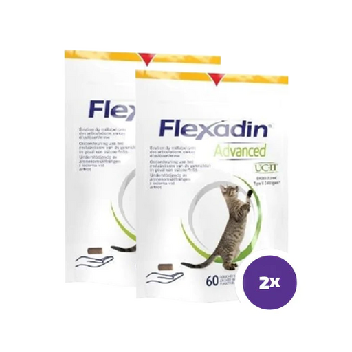 Flexadin advanced kissalle 2 x 60 purutablettia TUPLAPAKKAUS