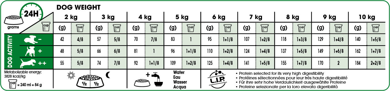Royal Canin Mini Ageing 12+ koiralle 1,5 kg