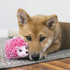 Kong Comfort Hedgehug Puppy M