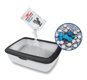 Royal Canin Veterinary Diets blücare Hematuria BOX kissalle 2 x 20 g