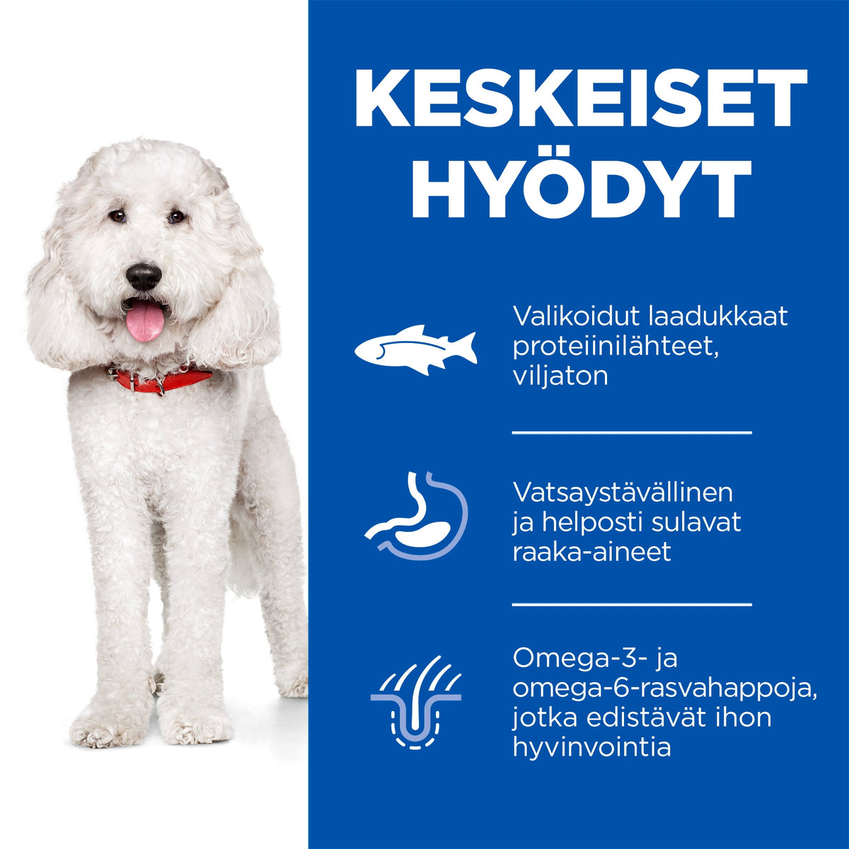 Hill's SP Hypoallergenic Adult Medium with Salmon koiralle 14 kg
