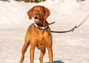 Rukka Bliss taluttimen jatkopala musta L