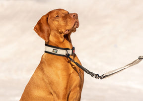 Rukka Bliss taluttimen jatkopala musta L