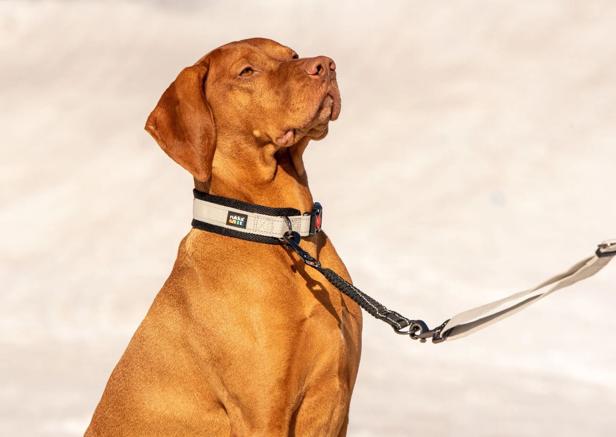 Rukka Bliss taluttimen jatkopala musta M