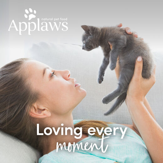 Applaws Kitten kana kissalle purkki 70 g MAISTELUPAKKAUS