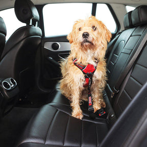 KONG Seat Belt Tether 54,5 x 5 x 1 cm