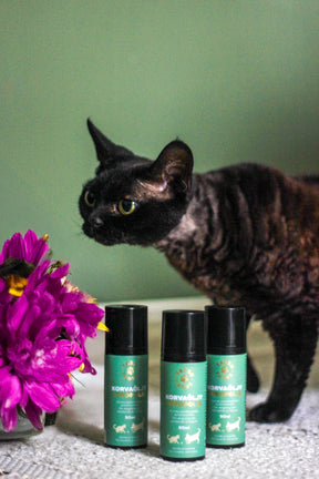 Tassu Foods Korvaöljy + Propolis 50ml