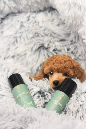 Tassu Foods Korvaöljy + Propolis 50ml