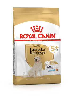 Royal Canin Labrador Retriever Adult 5+ koiralle 12 kg