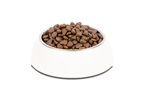 PrimaCat Viljaton Lohi aikuisille kissoille 400 g