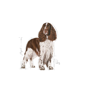 Royal Canin Light Weight Care Medium koiralle 3 kg