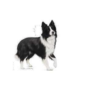 Royal Canin Digestive Care Medium koiralle 3 kg