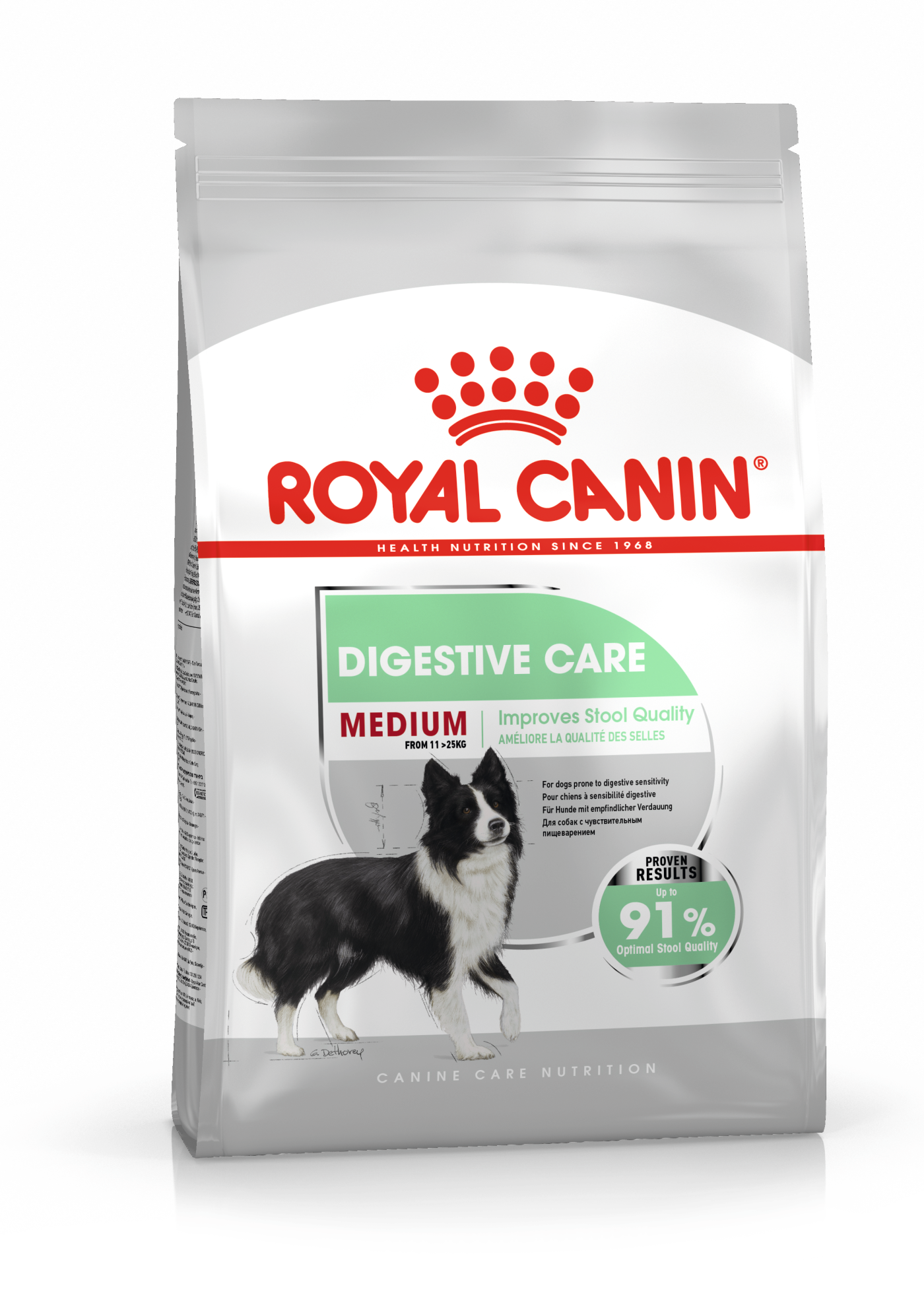 Royal Canin Digestive Care Medium koiralle 3 kg