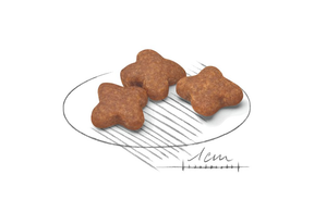 Royal Canin Mini Adult 8+ koiralle 2 kg