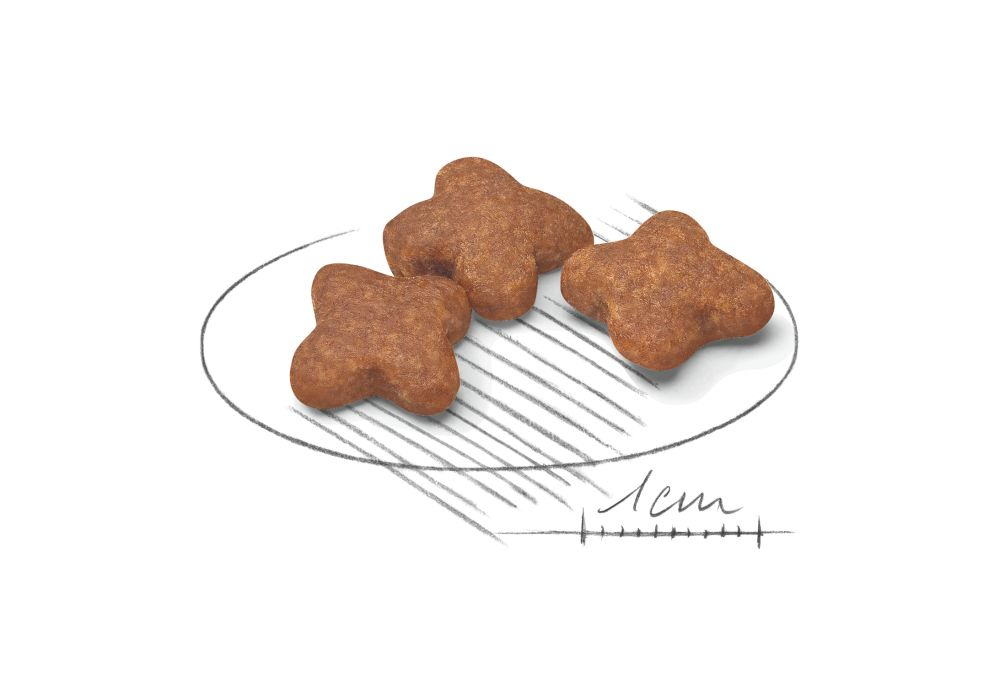 Royal Canin Mini Adult 8+ koiralle 8 kg