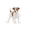 Royal Canin Mini Adult koiralle 4 kg