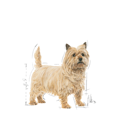 Royal Canin Light Weight Care Mini koiralle 3 kg